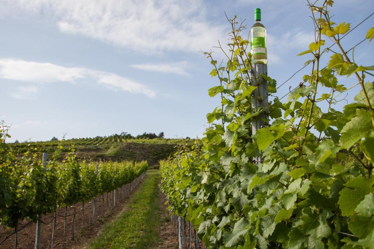 Ferienwohnung Am Weingut Eisenbock Strass  외부 사진