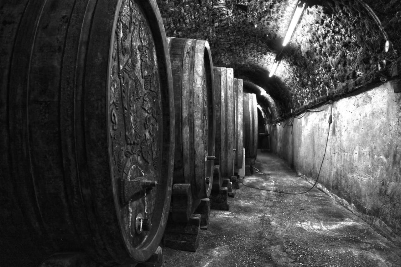Ferienwohnung Am Weingut Eisenbock Strass  외부 사진