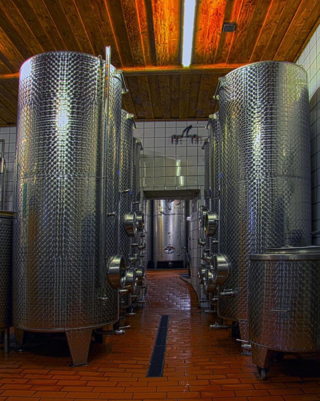 Ferienwohnung Am Weingut Eisenbock Strass  외부 사진
